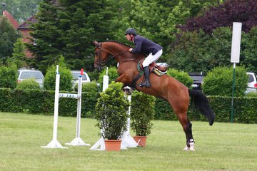 Bild 1 - Elmshorn am 9.6.10